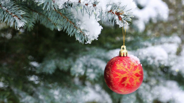 モミ枝に赤いクリスマス ボールは雪で覆われています。クリスマス背景. - 映像、動画