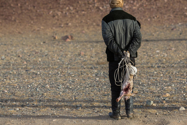 Sagsay, Mongolsko - září 28, 2017: Eagle Hunter, při lovu drží lovecká trofej mrtvý krvavé králík v pouštní hory západní Mongolsko. - Fotografie, Obrázek