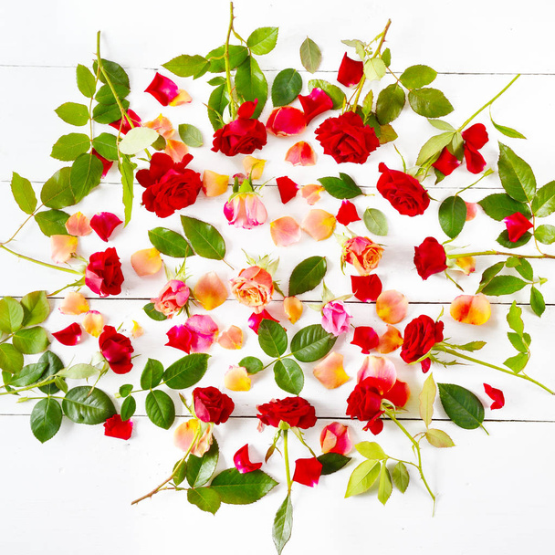 Red roses isolated on white background. Flat lay, top view. - 写真・画像