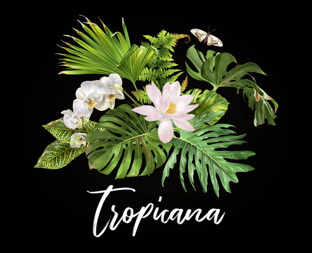 Tropicana bitkiler compostion - Vektör, Görsel