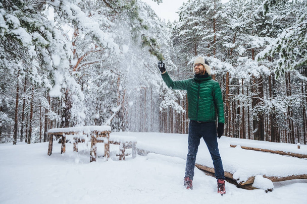 Портрет усміхненого бородатого хлопця, одягненого в теплий одяг, трясе дерево, покрите снігом, задоволений виразом, насолоджується вільним часом або вихідними на свіжому зимовому повітрі. Концепція сезону
 - Фото, зображення
