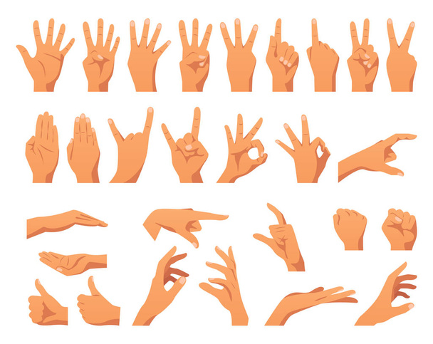 vários gestos mãos
 - Vetor, Imagem