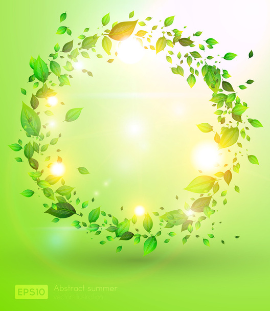 Зеленые листья и солнце блестят для летнего дизайна
 - Вектор,изображение