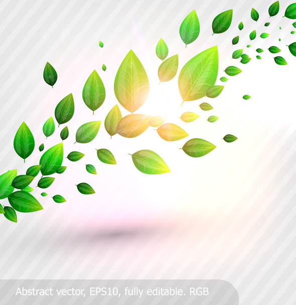 Зеленые листья и солнце блестят для летнего дизайна
 - Вектор,изображение