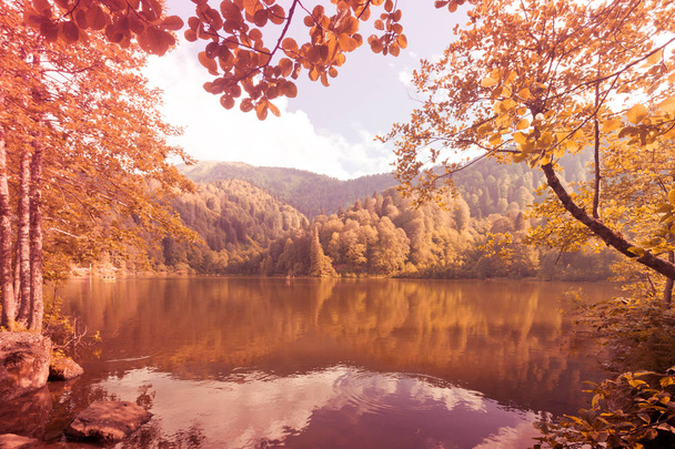 観光客、地元の人々、キャンパー、東部黒海、グルンネ島、アルトビン、トルコの旅行者のための普及した行先カラゴル (黒い湖) のやわらかな秋風景表示します。. - 写真・画像