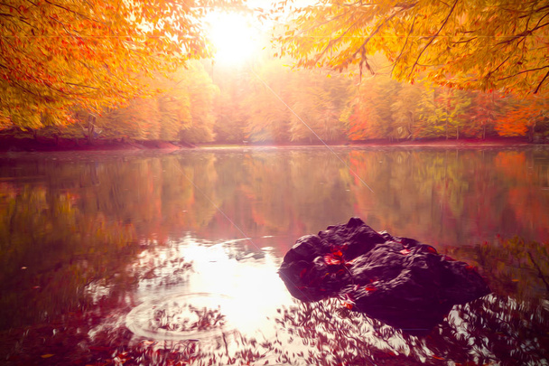 Soft view of autumn landscape, dry trees, golden sky, tree reflected in lake.Digital structure of painting.Oil painting effect filter applied. - Photo, Image