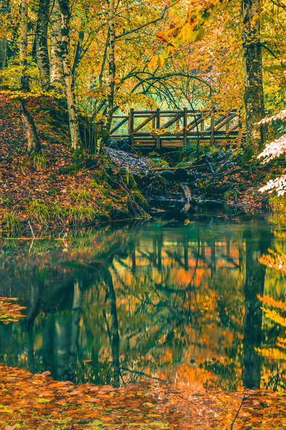 Měkký pohled na podzimní krajinu s dřevěným mostem a suché stromy, zlatý nebe, strom odráží v rybníku, časy se mění, slunečný den, podzimní park, příroda na podzim. - Fotografie, Obrázek