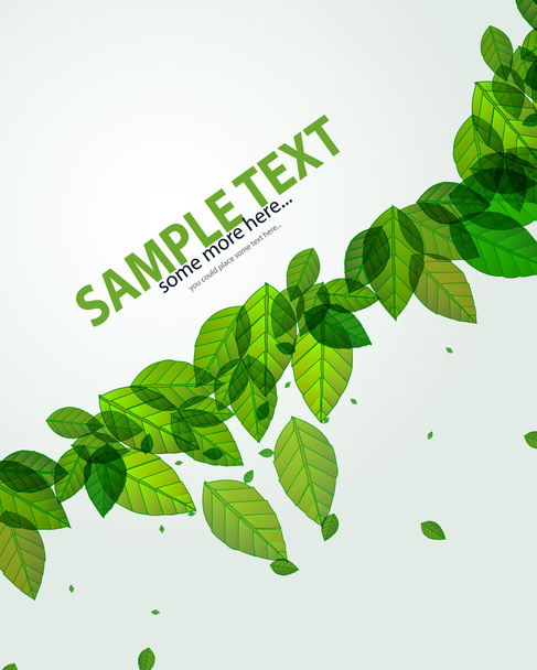 Green leaves vector background - Vector, Image