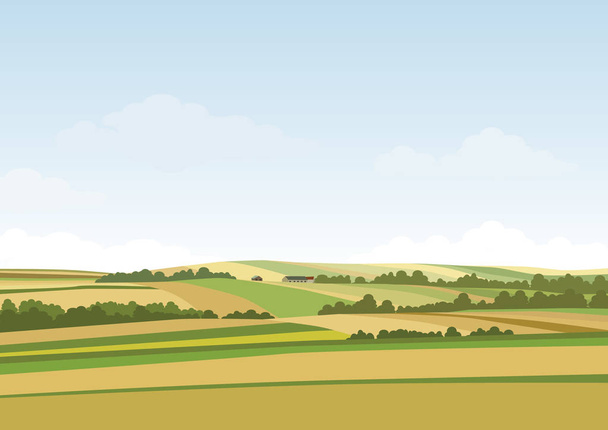 Green hill landscape. Vector illustration of panorama field landscape and cloud sky - Vector, Image