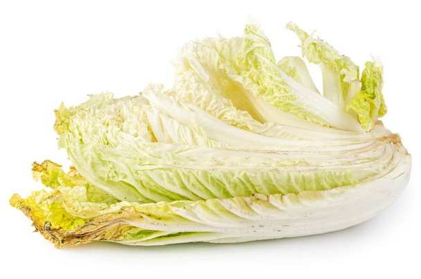 Rotten napa cabbage isolated - Photo, Image