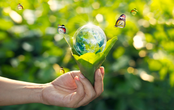 Экономия энергии концепции, День Земли, Рука держа землю в лампочке
 - Фото, изображение