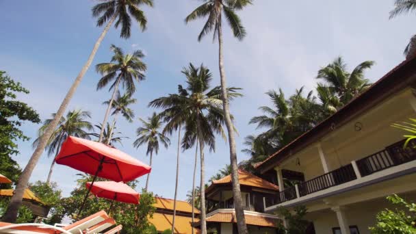 Tropikal, palmiye ağaçları, yatay otel. - Video, Çekim
