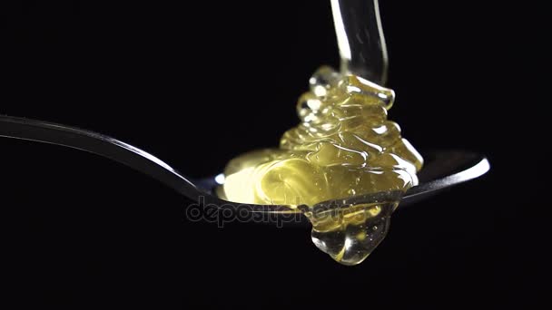 Zlatý med kapající z medu naběračka černé pozadí zblízka - Záběry, video