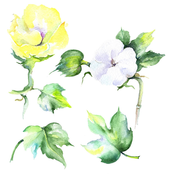 Wildflower eustama flower in a watercolor style isolated. - Foto, imagen