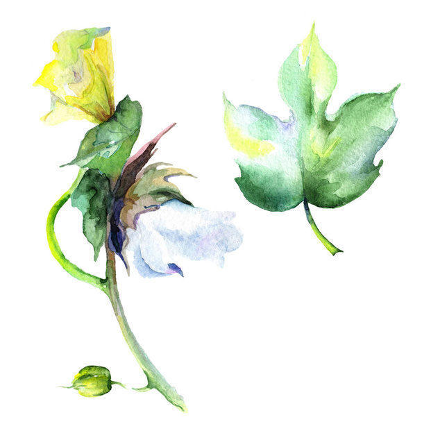 Wildflower eustama flower in a watercolor style isolated. - Photo, Image