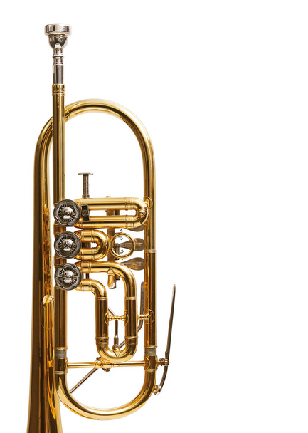Trompete - Foto, Imagem