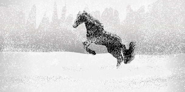 Correr caballos, Caballos Correr, Campo de nieve
,  - Vector, imagen