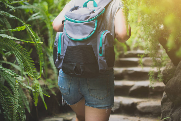Woman traveller with backpack in the forest. - Fotoğraf, Görsel