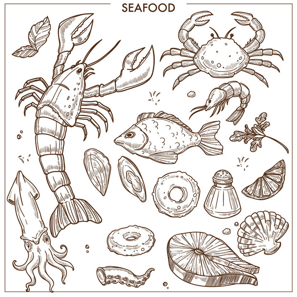 Seafood and fresh fish sketch icons for sea food restaurant or fisher market and chef cooking recipe. Vector set of lobster crab and squid, salmon or tuna and oyster mussels or squid and prawn shrimp with spices - Vektor, Bild
