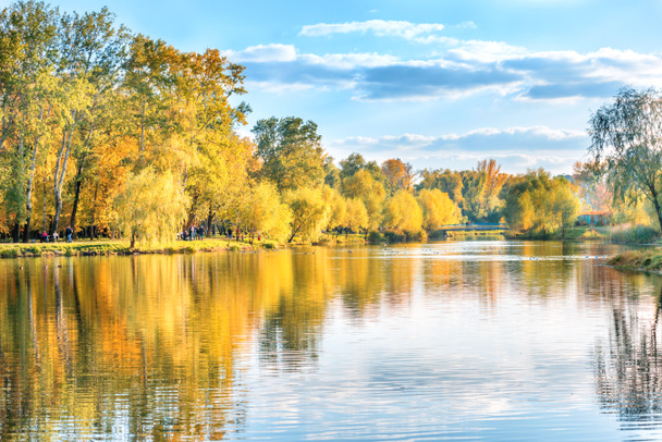 Lago con aves en otoño parque de la ciudad con gente caminando
 - Foto, imagen