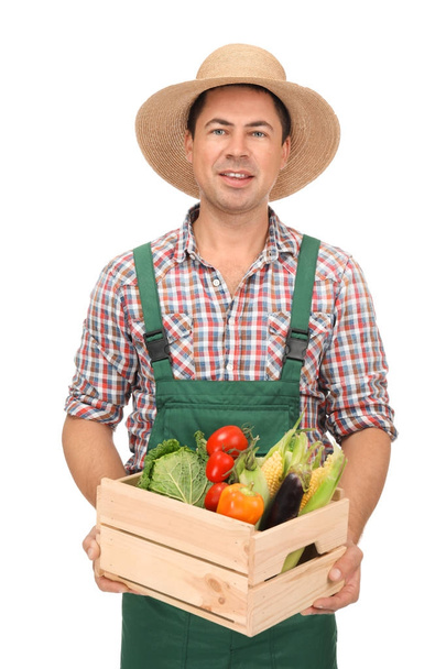 Agronomist with healthy vegetables on white background - Photo, image