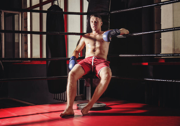 Professional boxer having break  - Foto, immagini