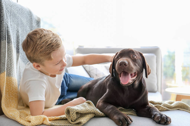 Χαριτωμένο μικρό αγόρι με σκύλο στον καναπέ στο σπίτι - Φωτογραφία, εικόνα