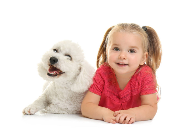 Adorable little girl with her dog on white background - Valokuva, kuva