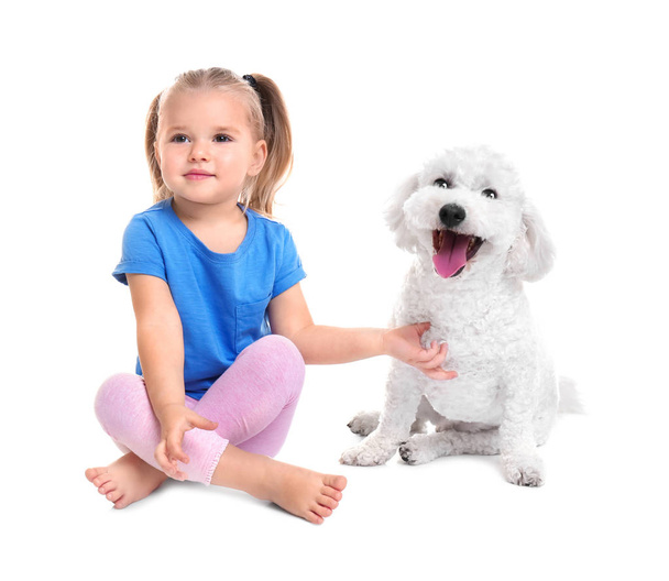 Adorable little girl with her dog on white background - Foto, Imagen