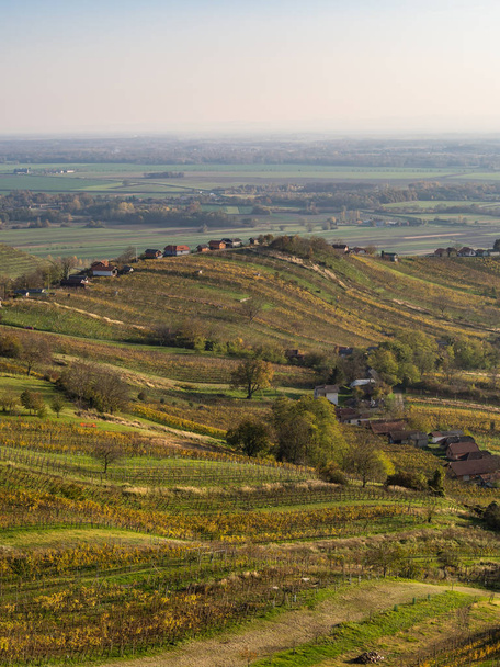 Aussicht auf lendavske gorice mit Weinbergen vom Vinariumsturm - Foto, Bild