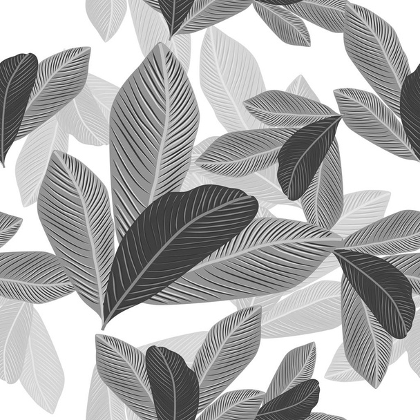 nahtloses Muster von tropischen Blättern Palme. - Vektor, Bild