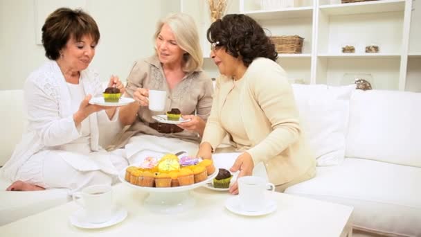 Ältere Damen entspannen nachmittags Tee-Party - Filmmaterial, Video