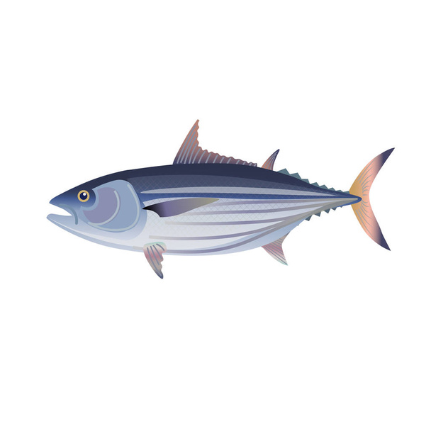 Skipjack tuna vector - Vector, Image