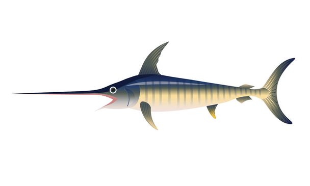 Blue marlin vector - Vector, Imagen