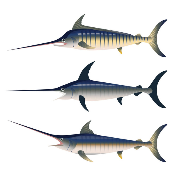 Set of vector billfish - Wektor, obraz