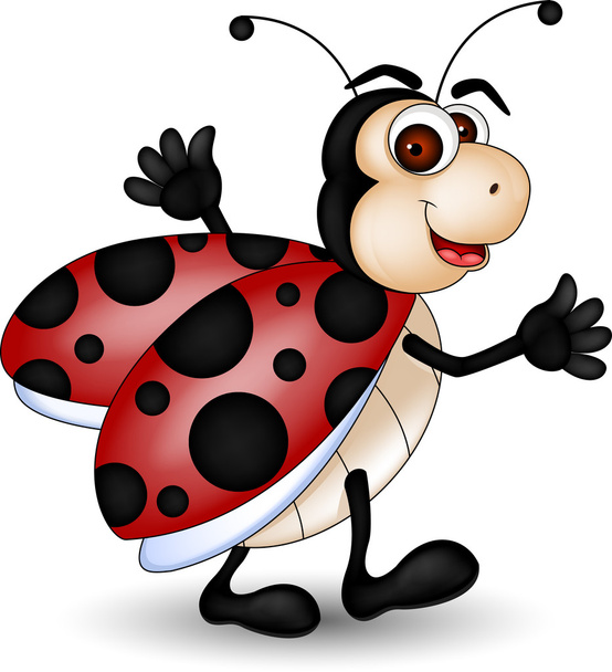 grappige lieveheersbeestje cartoon - Vector, afbeelding