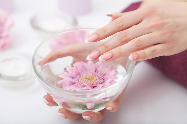 Manicure and Hands Spa. Beautiful Woman Hands Closeup - 写真・画像