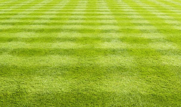 Фоном трава газон
 - Фото, зображення