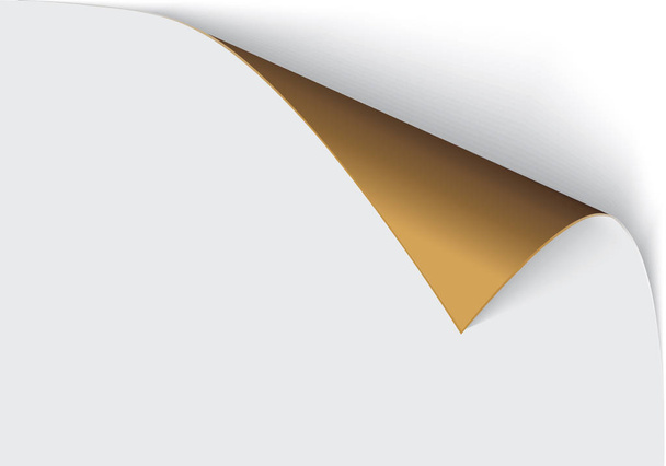 Σελίδα μπούκλα με σκιά σε ένα κενό φύλλο χαρτιού, στοιχείο σχεδιασμού για τη διαφήμιση και διαφημιστικό μήνυμα που απομονώνονται σε λευκό φόντο. Εικονογράφηση διανύσματος EPS 10. - Διάνυσμα, εικόνα