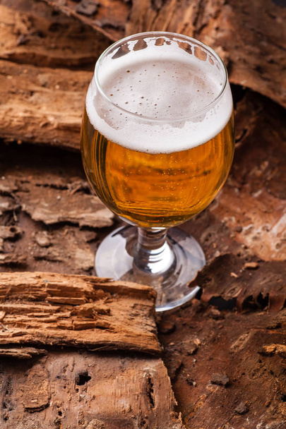 Light bier op schors - Foto, afbeelding