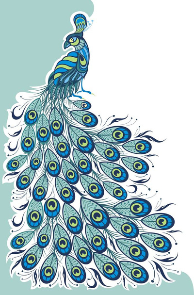 Blue Peacock.Poster, t-shirt design. Vector background - Vector, Imagen