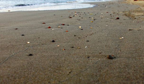 піщаний пляж з галькою
 - Фото, зображення