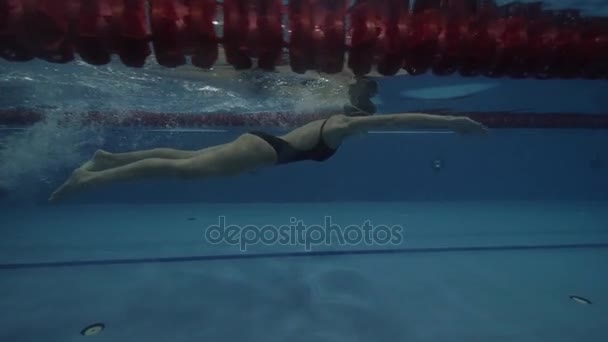 Sport vrouw zwemmer schoolslag drijvende waterpool onderwater volgens. - Video