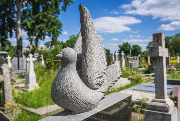Chortkiv temetőben - Fotó, kép