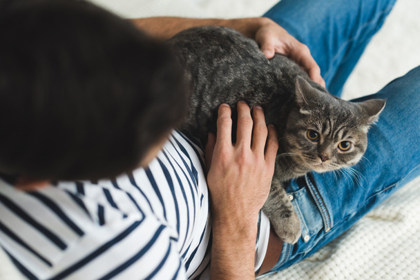 genç adam sevişme sevimli tekir kedi Üstten Görünüm - Fotoğraf, Görsel