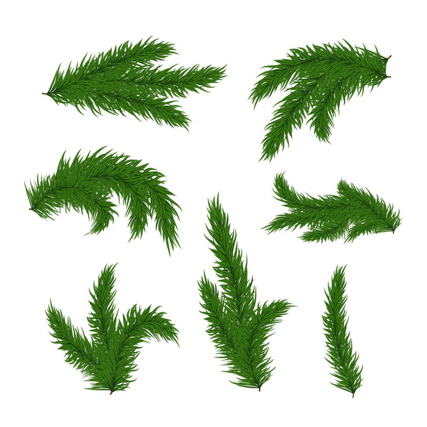 Christmas tree branches - Vector, Image