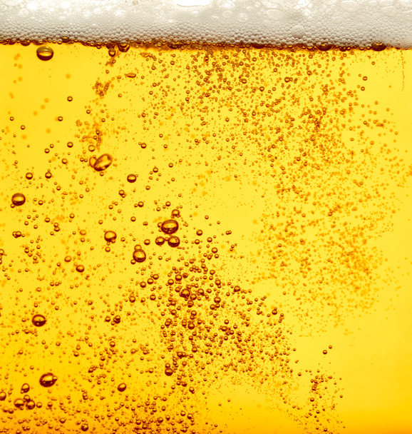 primer plano de la cerveza - Foto, imagen
