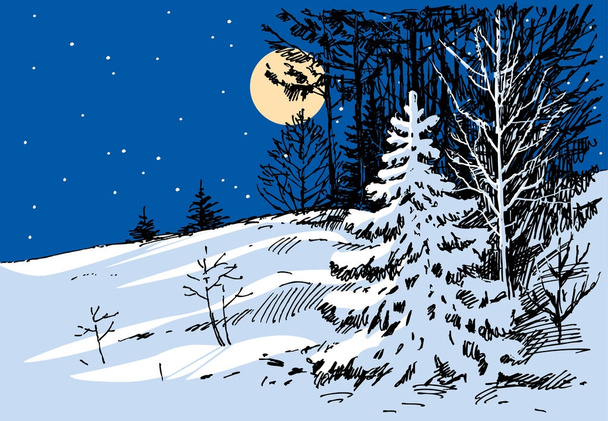Moonlit night in the winter forest - Vector, Image