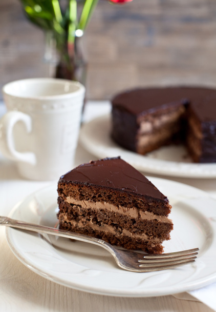 házi csokoládé torta - Fotó, kép