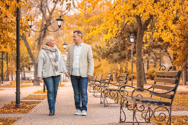 Mature couple walking in park on autumn day - Zdjęcie, obraz